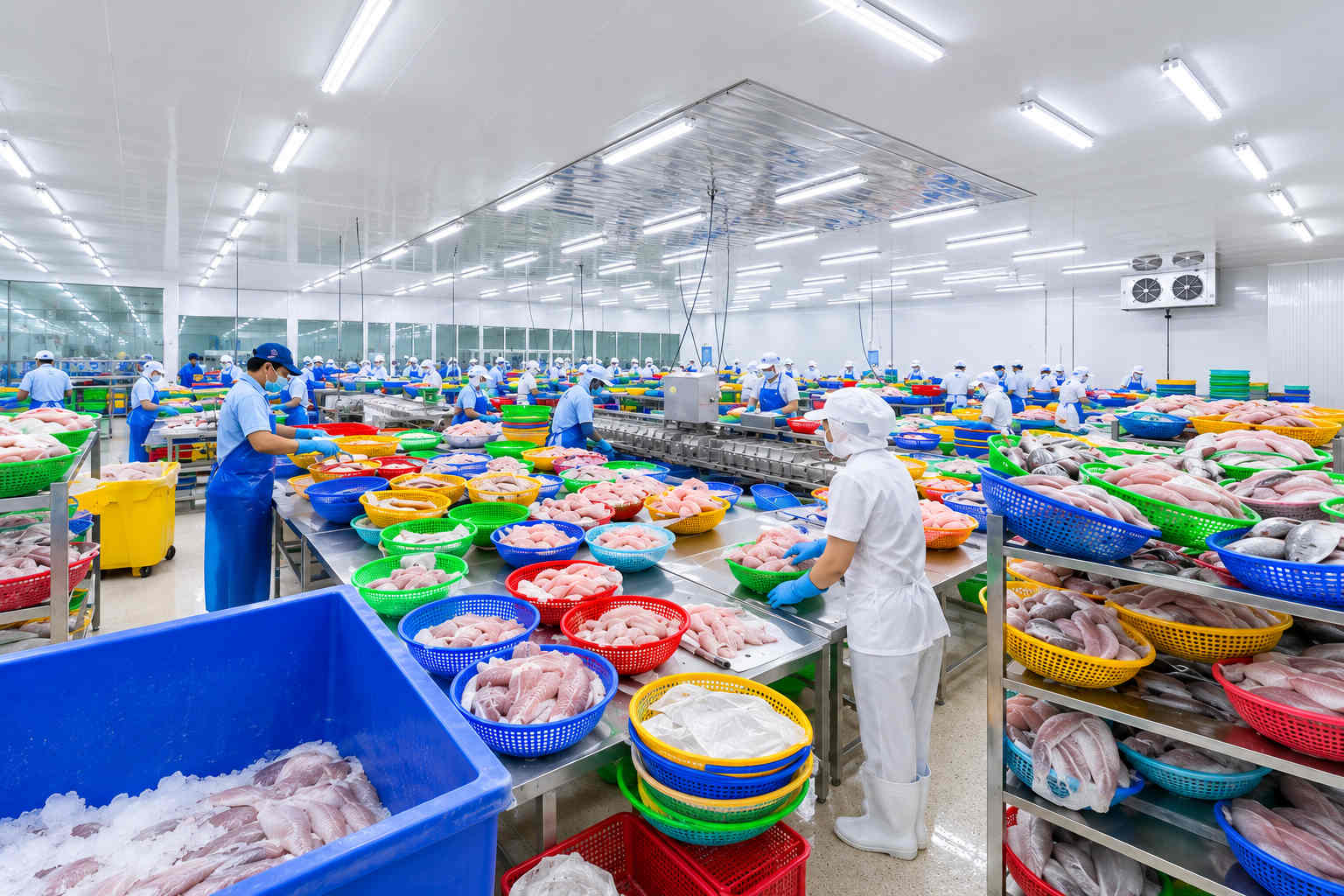 Processing Plant