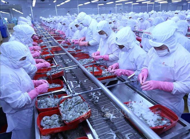 EFTA Opens New Opportunities for Vietnamese Seafood