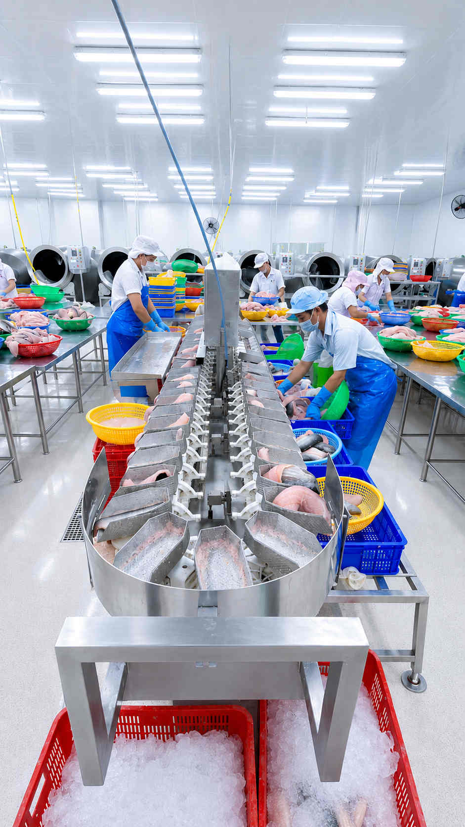 P&H Foods processing plant