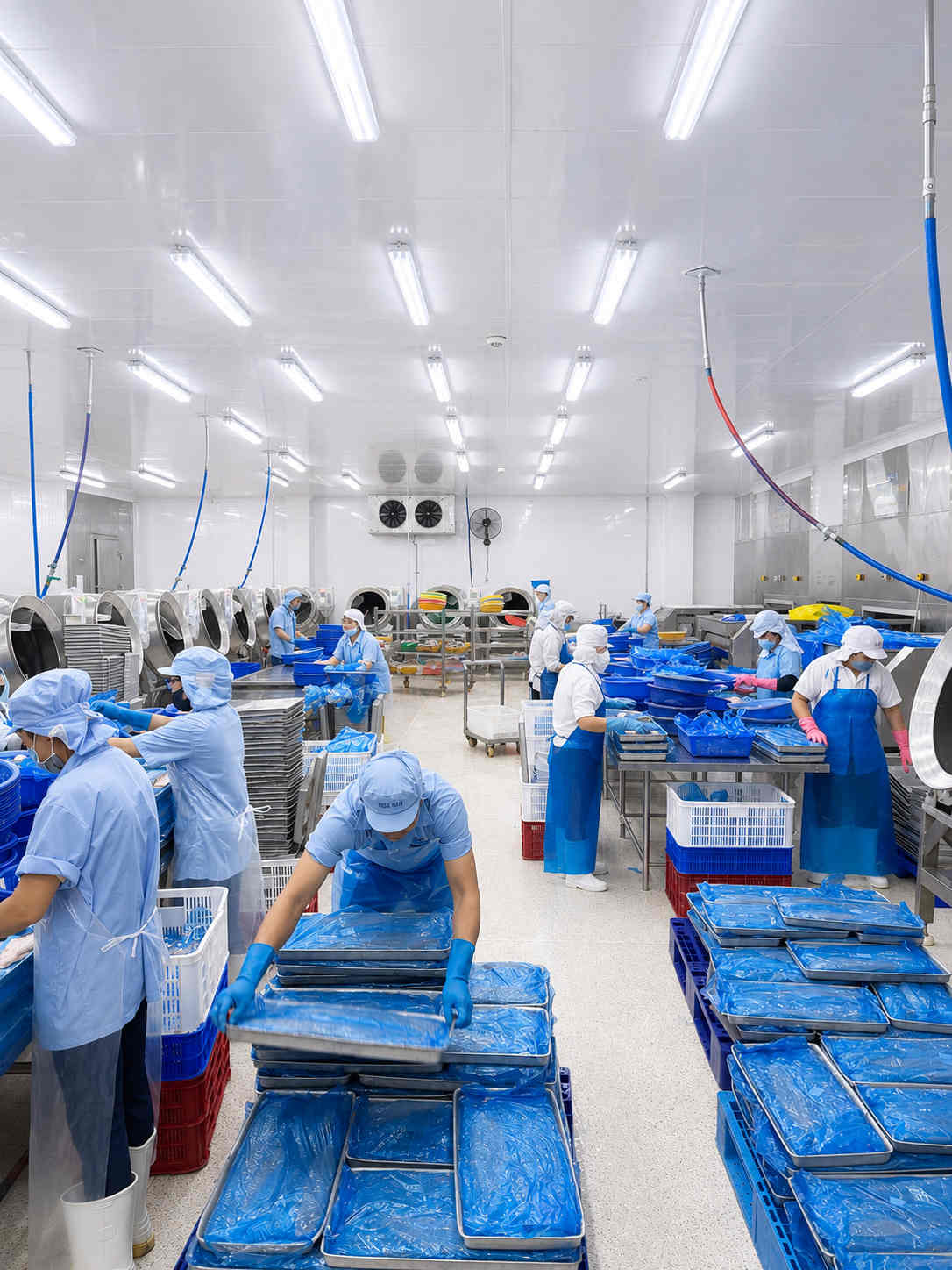 P&H Foods modern factory