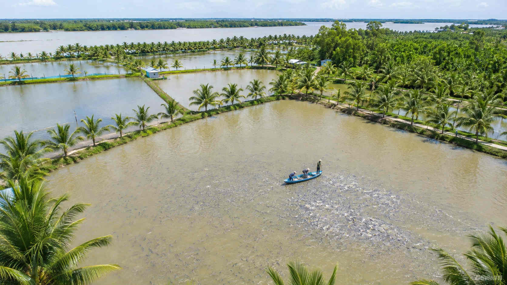 Proactive Farming Area