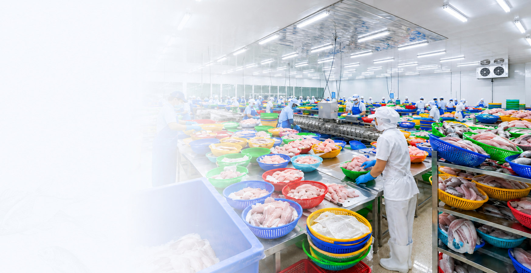 Vietnamese pangasius with international quality